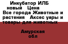 Инкубатор ИЛБ-0,5 новый › Цена ­ 35 000 - Все города Животные и растения » Аксесcуары и товары для животных   . Амурская обл.